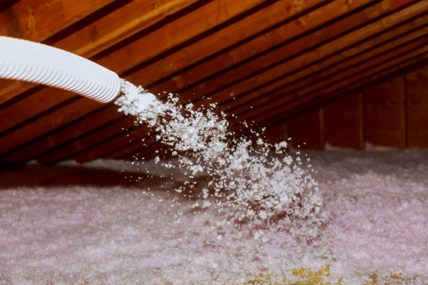 Best Insulation Removal  in Bronx, NY