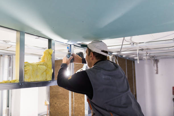 Best Attic Insulation Installation  in Bronx, NY