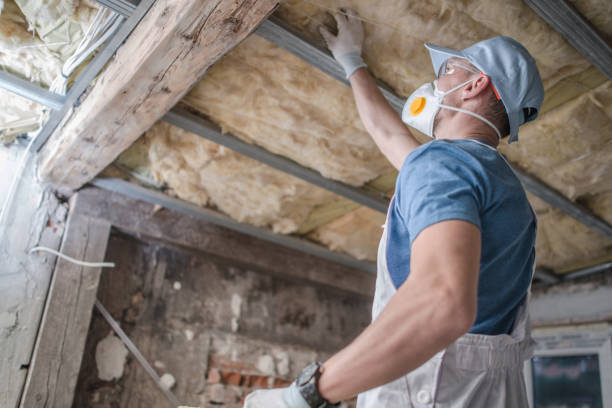 Best Insulation Replacement Services  in Bronx, NY