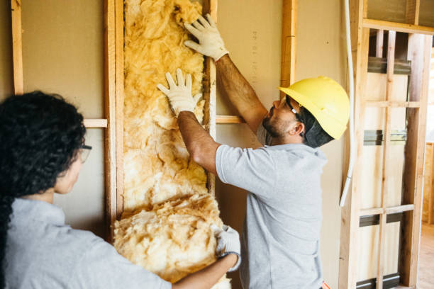 Best Best Insulation Companies  in Bronx, NY
