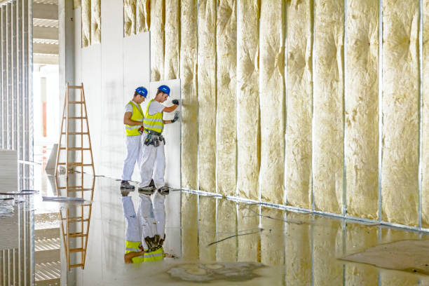 Best Crawl Space Insulation  in Bronx, NY
